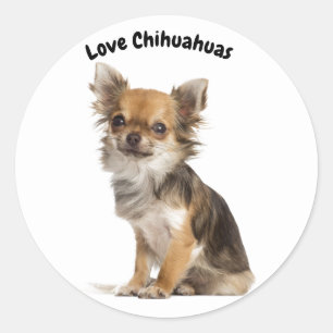 Love Chihuahuas Classic Round Sticker