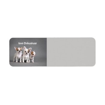Love Chihuahuas Label by paul68 at Zazzle