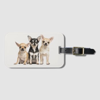 Love Chihuahuas Luggage Tag by paul68 at Zazzle