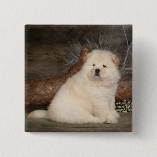 Love Chow Chow Puppy Dog Button Pin