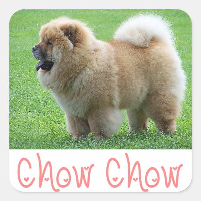 Love Chow Chow Puppy Dog Greeting Stickers (Front)