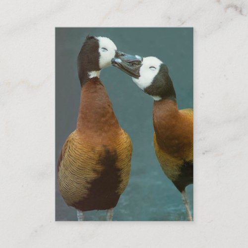 Love Coach Therapist Loving Ducks _ Two Sided Business Card