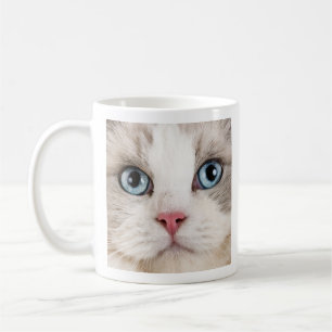 Love Coffee and Cats Photo Coffee Mug