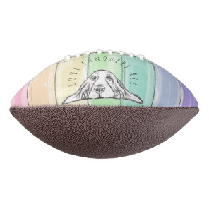 love conquers all dog rainbow basset hound   football