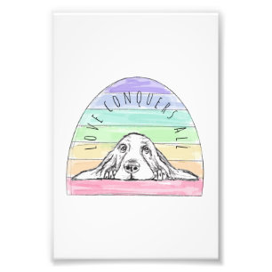 love conquers all dog rainbow basset hound photo print
