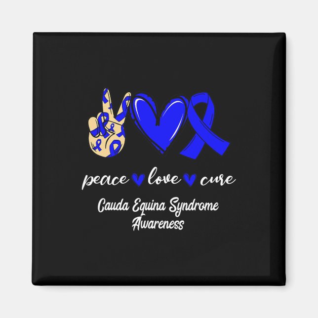 Love Cure Cauda Equina Syndrome Blue Awareness  Magnet (Front)