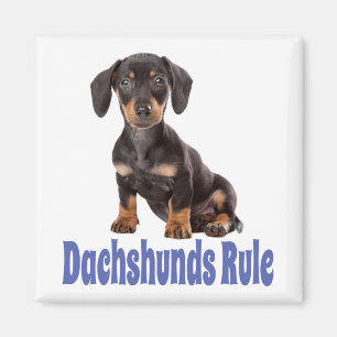 Love Dachshund Puppy Dog Fridge Magnet