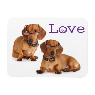 Love Dachshund Puppy Dog Fridge Magnet