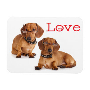 Love Dachshund Puppy Dog Fridge Magnet