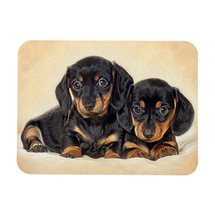 Love Dachshund Puppy Dog Fridge Magnet