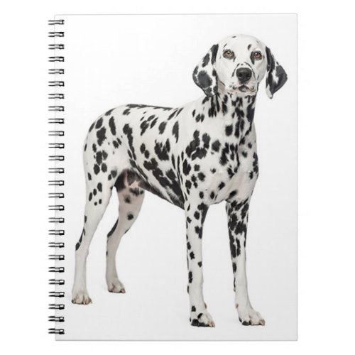 Love Dalmatian Puppy Dog _ Spotted Fire Dog Notebook