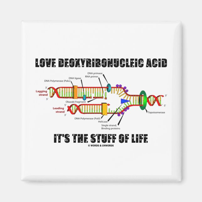 Love Deoxyribonucleic Acid It's The Stuff Of Life Magnet (Front)