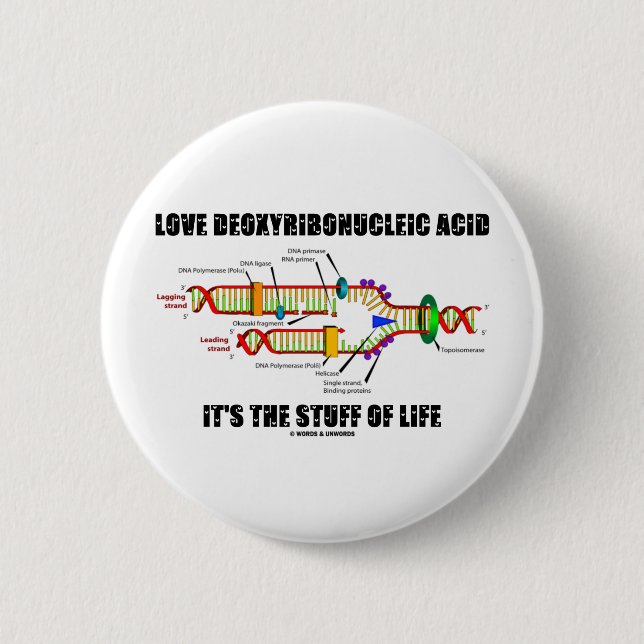 Love Deoxyribonucleic Acid It's The Stuff Of Life Pinback Button (Front)