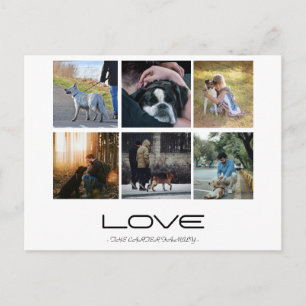 Love Dog Family Portrait Collage Design Postcard