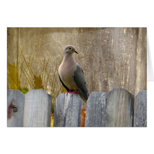 Love Dove Customizable Cards (Front Horizontal)