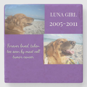 Love Echoes Through Time Stone Coaster