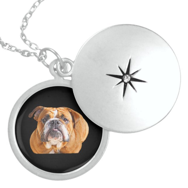 Love English Bulldog Dog Face -  Brown Mascot Locket Necklace (Front)