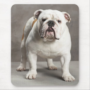 Love English Bulldog Puppy Dog Mousepad