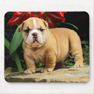 Love English Bulldog Puppy Dog Mousepad