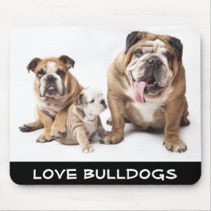 Love English Bulldogs Puppy Dogs Family Mousepad