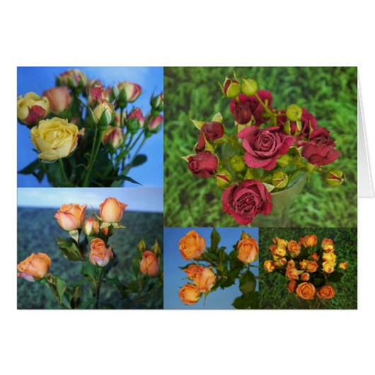 Love Everyday-Card Cards (Front Horizontal)