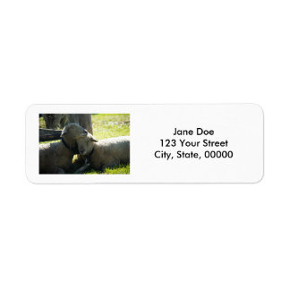 Love Ewe Sheep Customizable Label