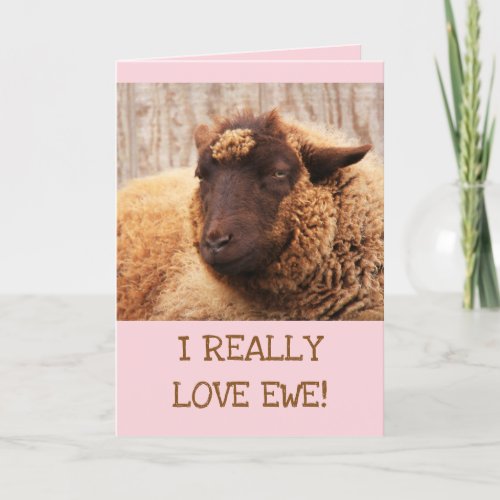 LOVE EWE Sheep Valentines Day Holiday Card