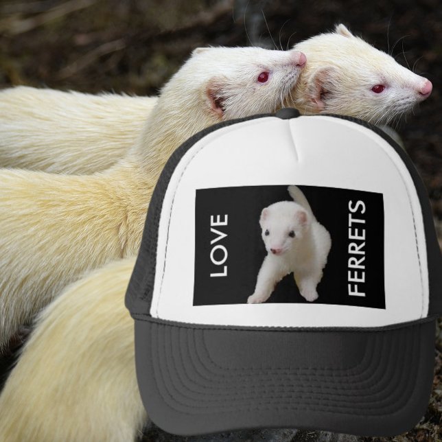 Love Ferrets White Ferret Trucker Hat (I love ferrets white ferret hat)