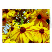 Love Flower_ (Front Horizontal)