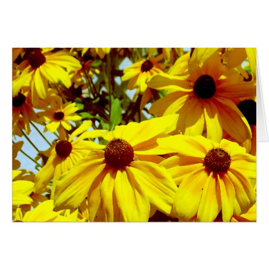 Love Flower_ (Front Horizontal)