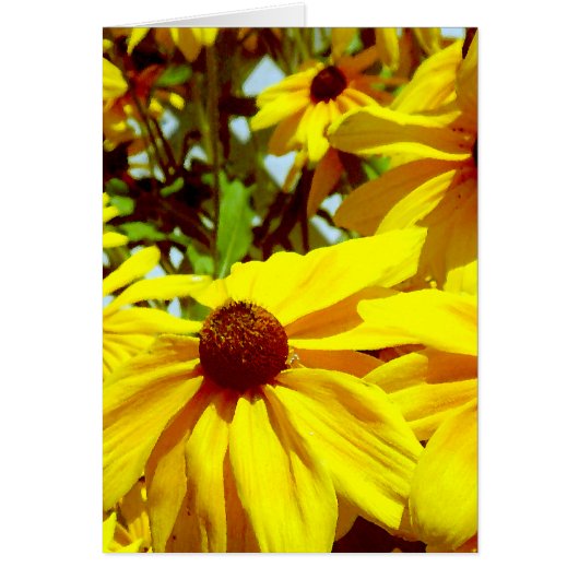 Love Flower_ Cards (Front)