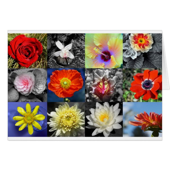 Love Flowers Photograph Collage Cards (Front Horizontal)