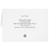 Love Flowers: Yorkshire 'Wall-Flowers' Cards (Back Horizontal)