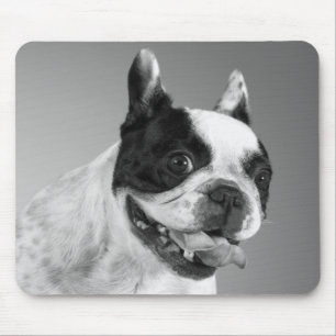 Love French Bulldog Puppy Dog Black And White Mouse Pad