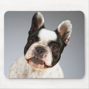 Love French Bulldog Puppy Dog Mousepad