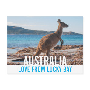 Love From Australia Kangaroo Lucky Bay Photo Postcard