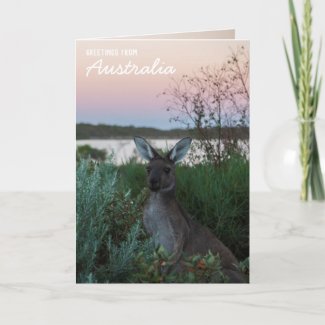 Love From Australia Kangaroo Sunset Lake Custom