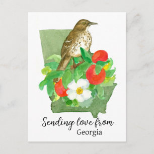 Love From Georgia Bird Peach Rose Hello Friend Postcard