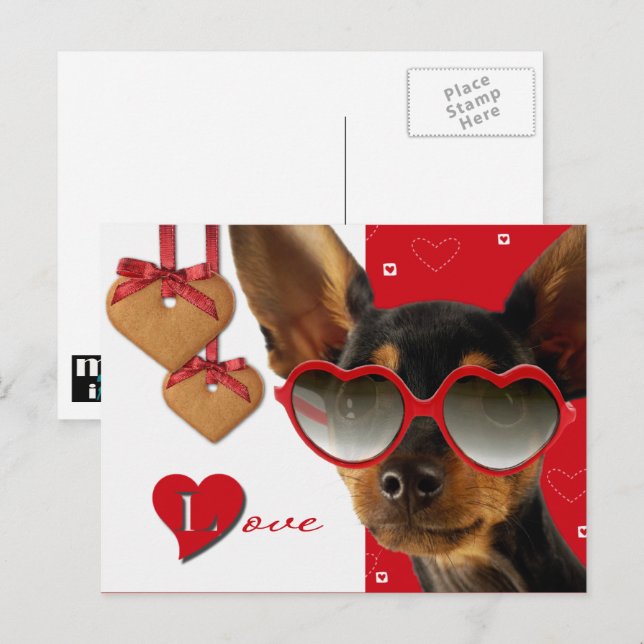 Love. Funny Dog Valentine's Day  Holiday Postcard (Front/Back)