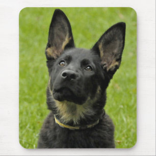 Love German Shepherd Puppy Dog Green Mousepad