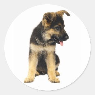 Love German Shepherd Puppy Dog Stickers