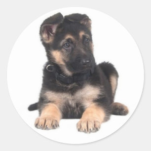 Love German Shepherd Puppy Dog Stickers