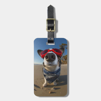 Love Goggles Luggage Tag