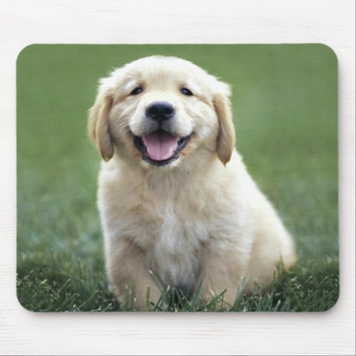 Love Golden Retriever Puppy Dog Green Grass Mouse Pad