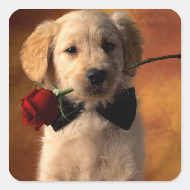 Love Golden Retriever Puppy Dog Stickers (Front)