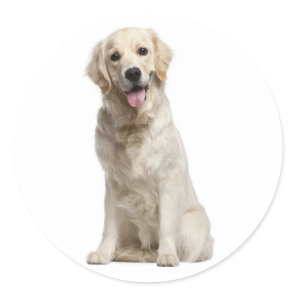 Love Golden Retriever Puppy Dog Stickers