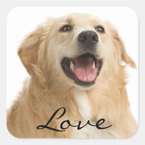 Love Golden Retriever Puppy Dog Stickers