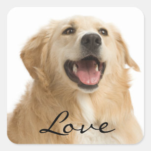 Love Golden Retriever Puppy Dog Stickers