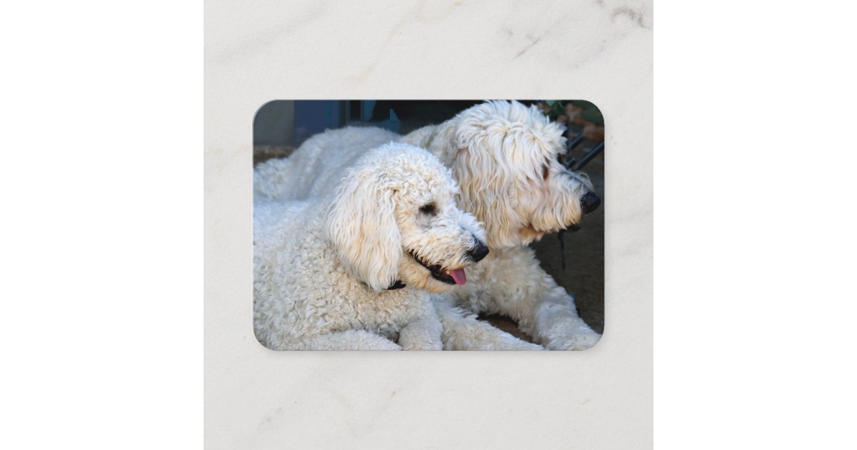 Love Goldendoodles Business Card Zazzle