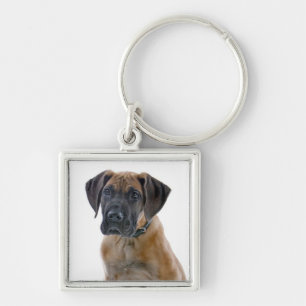 Love Great Dane Puppy Dog Canine Keychain